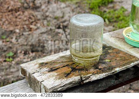 Homemade Drinkers For Bees From Cans In The Apiary In Ukraine. Honey Is A Beekeeping Product.