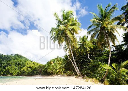 Baía do inglês, Tobago