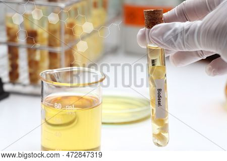 Yellow Biodiesel Oil Extracted From Natural Raw Material, Laboratory Experiment