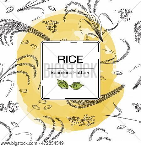 Rice Grain Card, Hand Drawn Cereal. Paddy Field, Farmer Sack With Organic Nature Seeds, Cereal Dish 