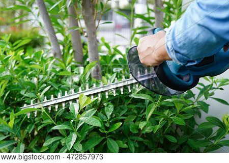 Gardener Trimming Bush By Electric Hedge Clippers In Garden. Hobby At Home.