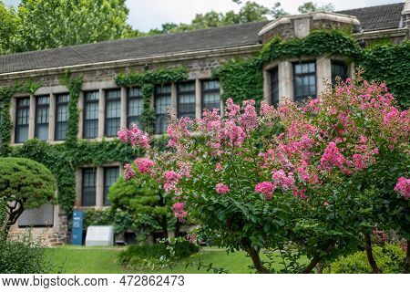 Building In Yonsei University, One Of The Famous Universities In Seoul, South Korea
