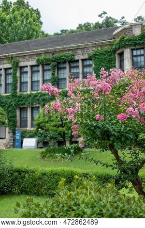 Building In Yonsei University, One Of The Famous Universities In Seoul, South Korea