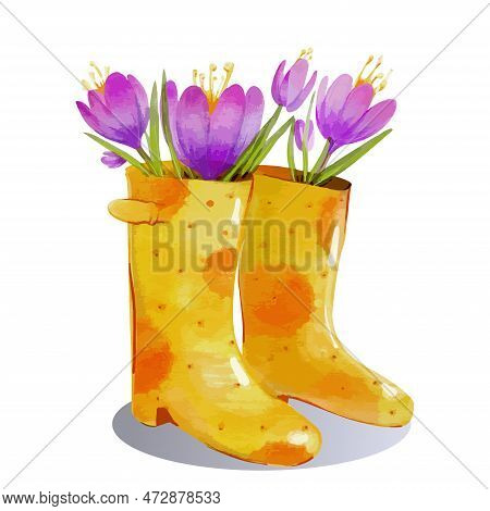 Yellow Galoshes With Purple Crocus Flowers. Vector Illustration In Watercolor