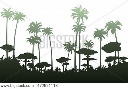Beautiful Palm Trees Silhouette. Tropical Forest. Dense Jungle With Big Trees. Thickets Of Plants. C