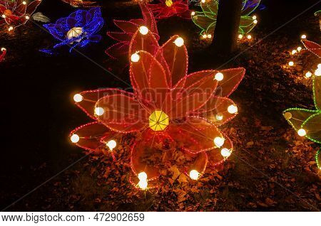Unusual Chinese Lantern Festival Chinese Culture Whimsical Shapes Flowers Landscape Orientation