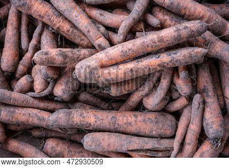 A Background Image Of Wonky Organic Carrots At A Market
