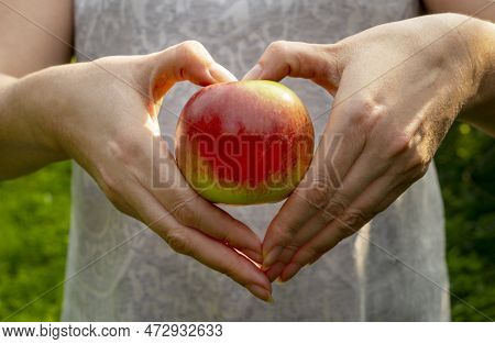 Womans Hands Hold Red Delicious Apple, Making Heart Shape On Apple. Healthy Lifestyle Concept