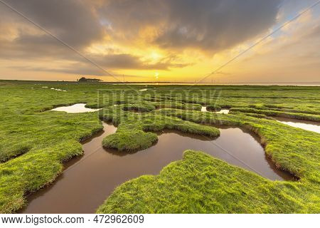 Land Reclamation In The Tidal Marsh Mud Flats Of The Punt Van Reide In The Wadden Sea Area On The Gr
