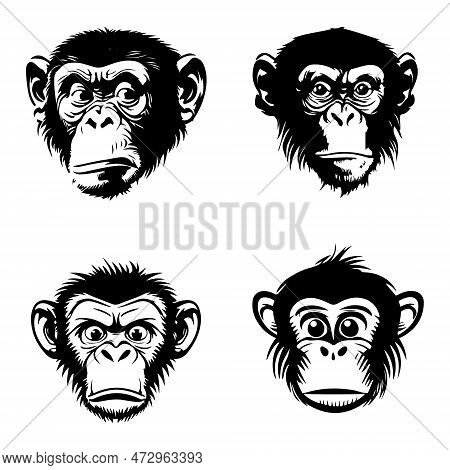 Monkey Face With Angry And Funny Expression. Monkey Head Logo Vector Set, Monkey Face Logo Isolated.