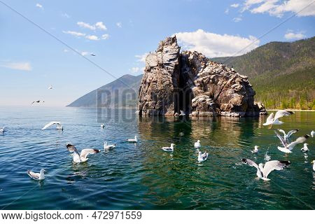 A Small Rocky Island Where Gulls And Cormorants Nest. View From The Yacht. Beautiful Summer Landscap