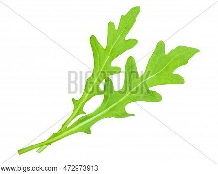 Green Fresh Arucola Leaves Isolated On White Background Macro. Arugula Top View. Flat Lay