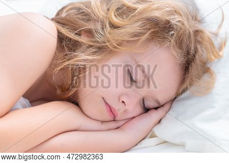 Little Boy Sleeps. Child Sleeping In Bed. Cute Kid Sleeping Under Blanket. Kid Lying On Pillow. Chil