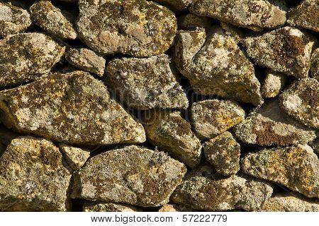 Full Of Lichens