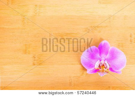 Lilac  Orchid On Bamboo Wooden  Background