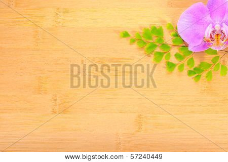 Lilac  Orchid And Leaves Of Fern On Bamboo Wooden  Background