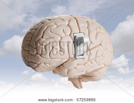 Brain power