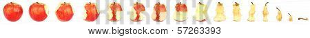 Timeline Of Eating An Apple (clipping Path)