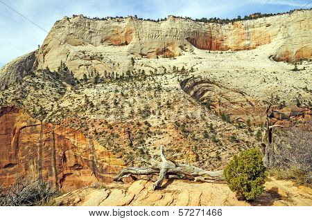 Sandstone Cliffs In The Desert Southwest