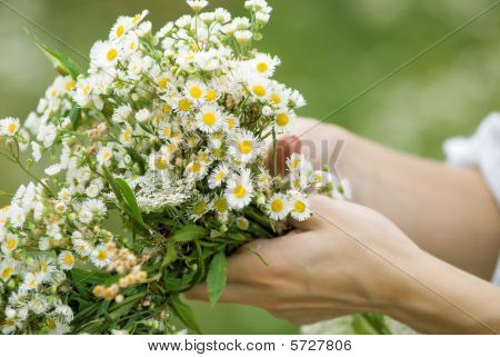 Flores