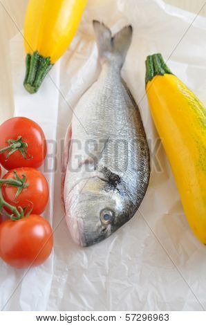 Gilthead seabream