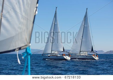 Sailing ship yachts with white sails in a row.