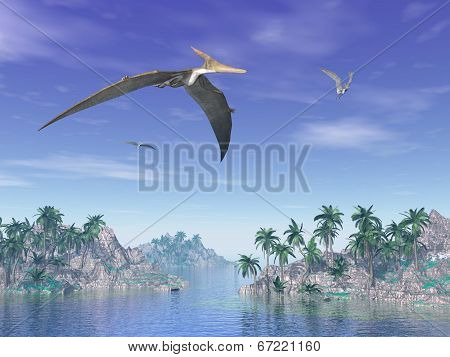 Pteranodon birds  - 3D render