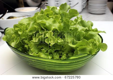 Fresh Green  Lettuce In Glass Bolwe