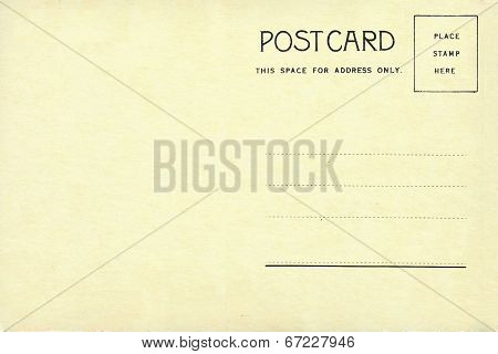 Back of vintage blank postcard