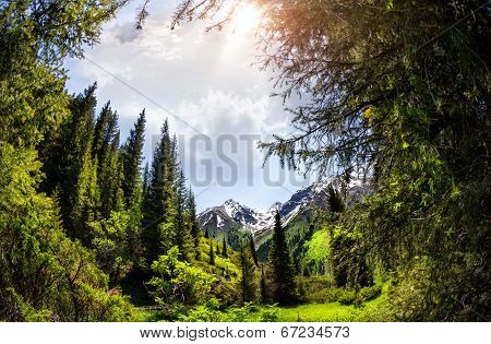 Mountain Landscape