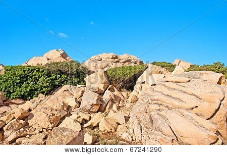 The Granites