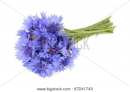 Bouquet Of Blue Cornflowers Isolated On White Background