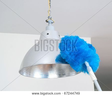 Duster feather