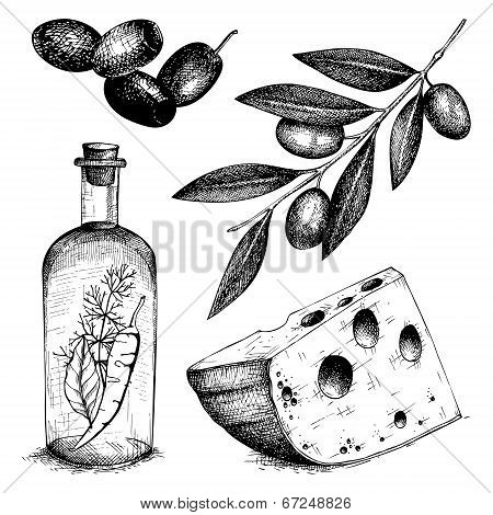 Decorative Engraved Olive  Isolated On White