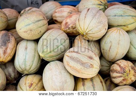 Tuscan Melon Cantalopes At Farmers Market .