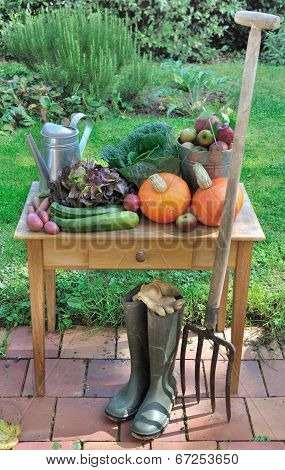 Harvested Fruits And Vegetable