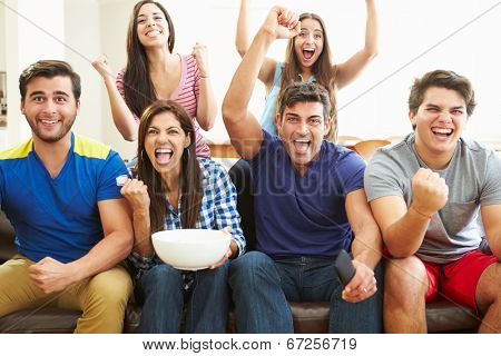 Group of Friends Watching Soccer Celebrating Goal