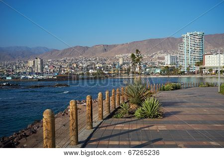 Antofagasta