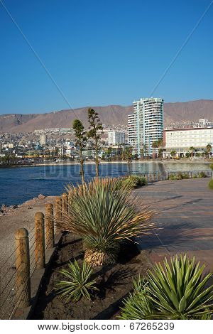 Antofagasta