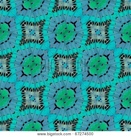 Nice Green Background Patterns Made Of Beautiful Leopard Lacewing Butterfly's Wing
