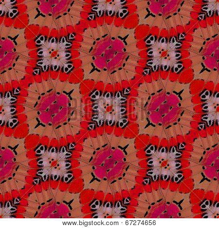 Nice Red Background Patterns Made Of Beautiful Leopard Lacewing Butterfly's Wing