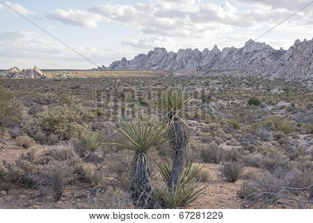 Mountainous desert landscape