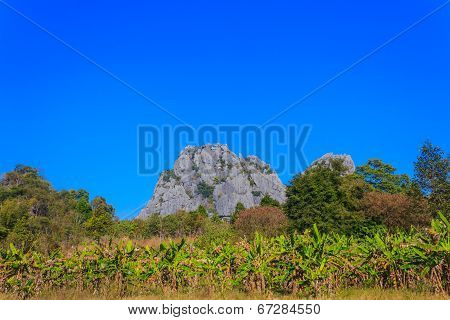 Suan Hin Pha Ngam , mountain thai