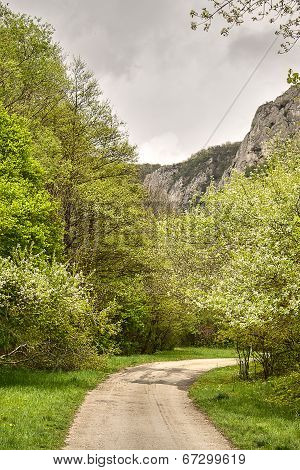 Mountain Road