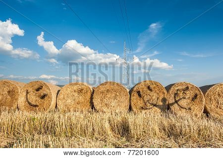 Smiling straw bale
