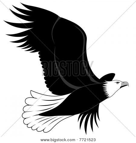 Eagle, tattoo