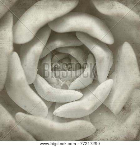 Textured Old Paper Background
