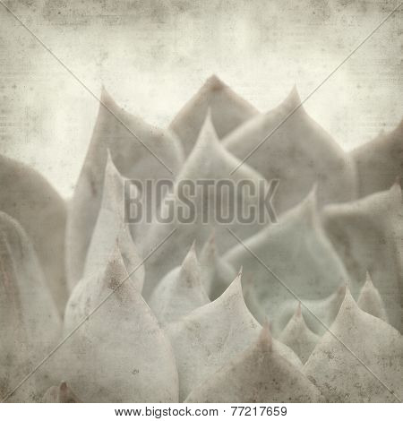 Textured Old Paper Background