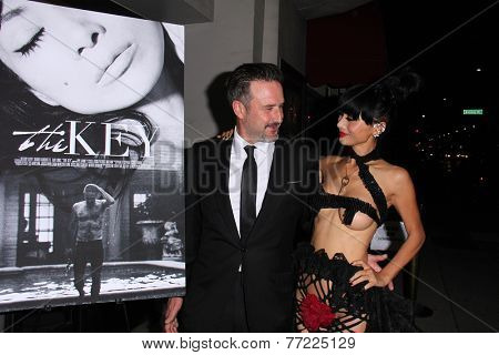 LOS ANGELES - NOV 21:  David Arquette, Bai Ling at the 