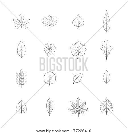 Plant leaves line icons set